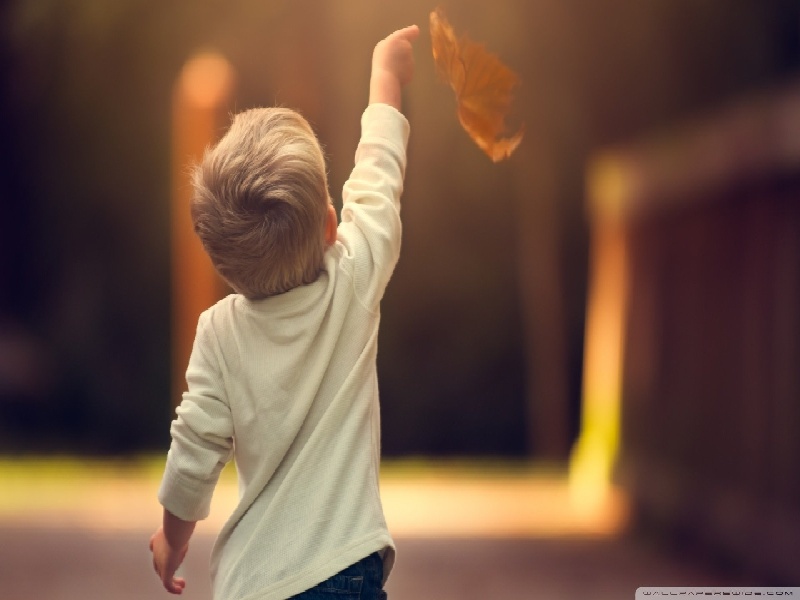 武汉 试管婴儿费用，试管成功的套路