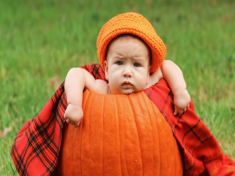 夫妻打工做试管，肛门试管取样视频